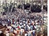 Pereg_LASALIANA05_1986