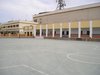 colegiopintado002